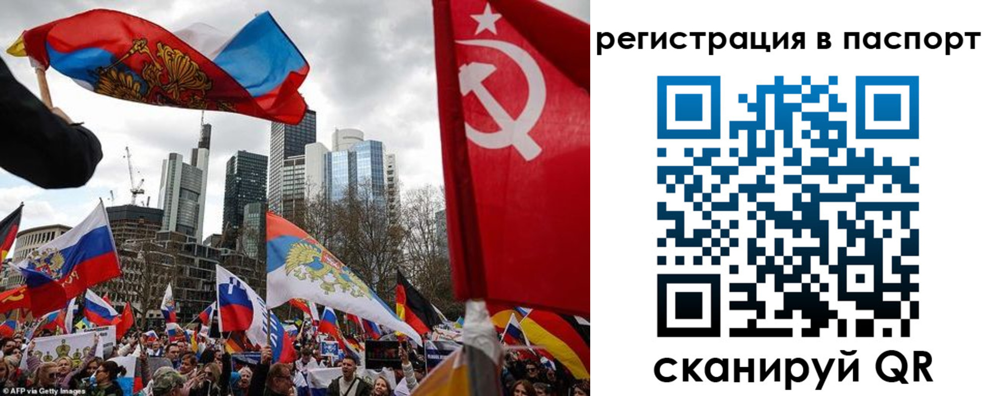 временная регистрация поиск в Павловске